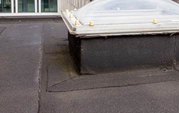 disadvantages of Troedrhiwdalar flat roofs