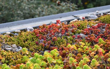 the cost of Troedrhiwdalar green roof installation