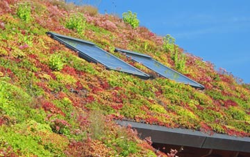 Troedrhiwdalar living roof systems